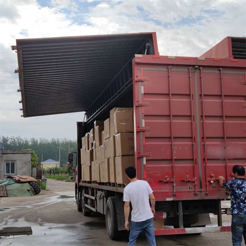 美兰区扎囊县：物流专线的高效货运之旅